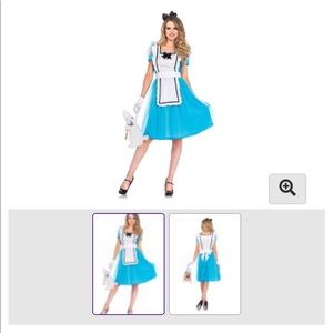NEW - Adult M Alice in Wonderland costume